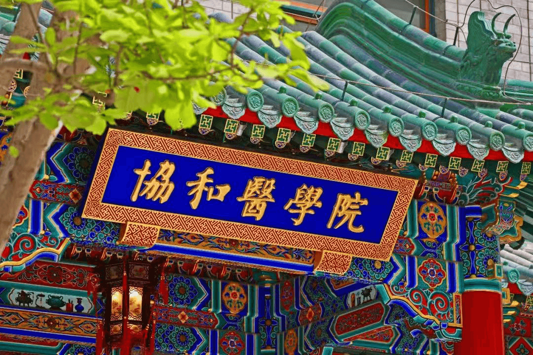 协和医学院“4+4”模式的政治哲学问题