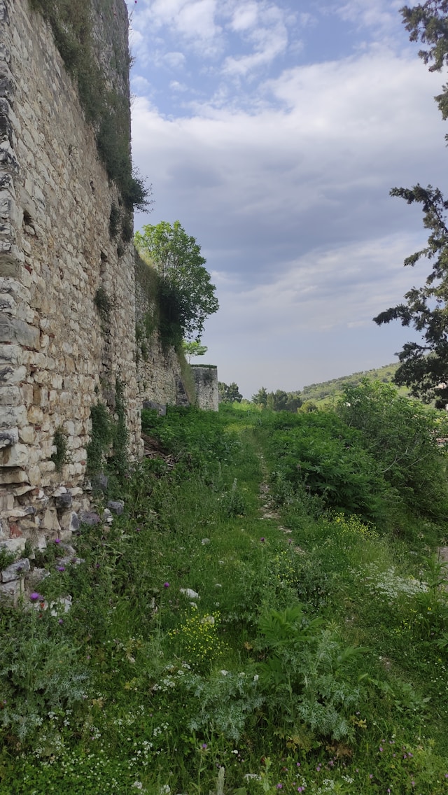 哲学家如何度过一生